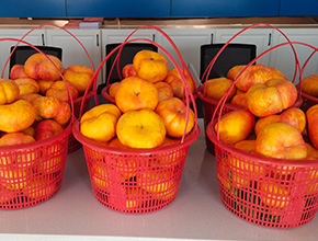 自然生长 顺时而生 营养足食有益