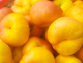 文盛庄园特色农副产品平台